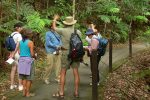 excursion-cougal-group-on-rainforest-path